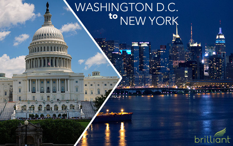 DC vs. NYC: What You Need to Know About Both Cities' Bold New